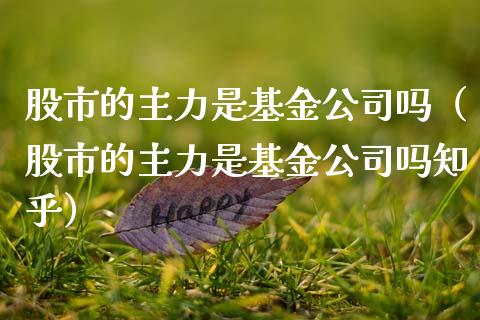 股市的主力是基金公司吗（股市的主力是基金公司吗知乎）_https://www.ltsssb.com_国际财经_第1张