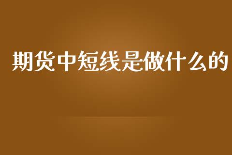 期货中短线是做什么的_股市分析_第1张_IT财经网 期货中短线是做什么的_https://www.ltsssb.com_股市分析_第1张