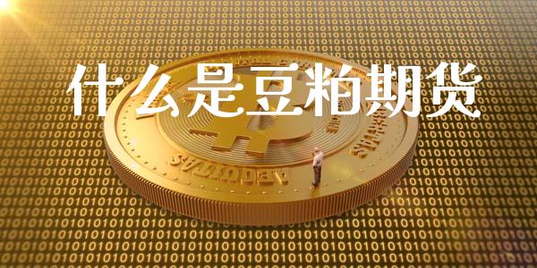 什么是豆粕期货_https://www.ltsssb.com_股票理论_第1张