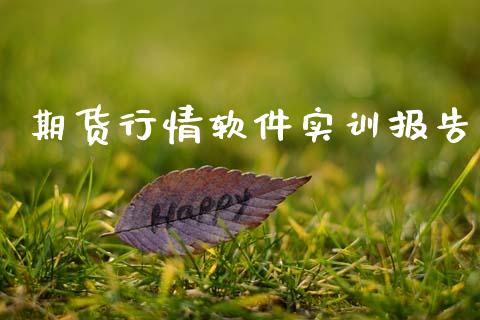 期货行情软件实训报告_https://www.ltsssb.com_期货在线_第1张