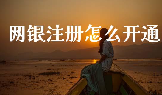 网银注册怎么开通_https://www.ltsssb.com_基金频道_第1张