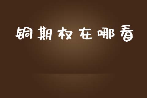 铜期权在哪看_https://www.ltsssb.com_股票理论_第1张
