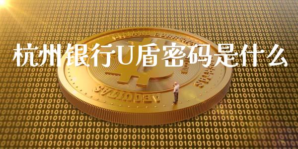 杭州银行U盾密码是什么_https://www.ltsssb.com_期货密码_第1张