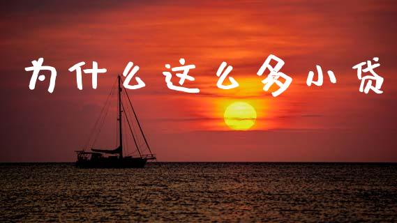 为什么这么多小贷_https://www.ltsssb.com_期货密码_第1张