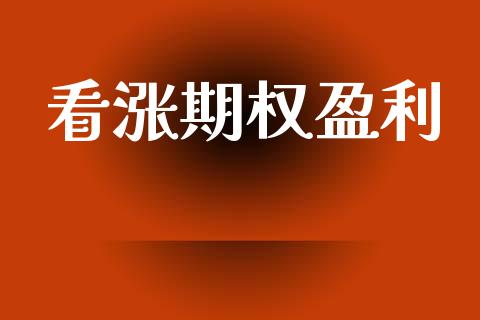 看涨期权盈利_https://www.ltsssb.com_期货行情_第1张