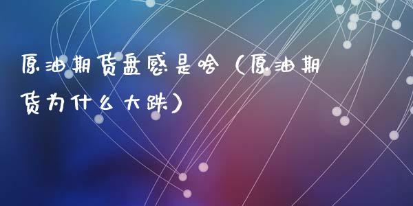 原油期货盘感是啥（原油期货为什么大跌）_https://www.ltsssb.com_期货密码_第1张