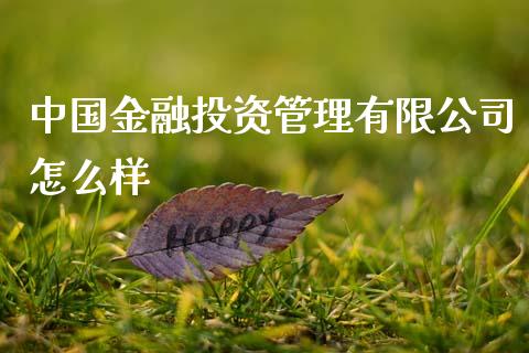 中国金融投资管理有限公司怎么样_https://www.ltsssb.com_股票理论_第1张