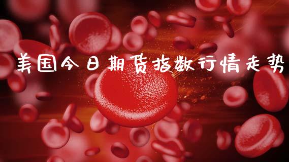 美国今日期货指数行情走势_https://www.ltsssb.com_期货密码_第1张