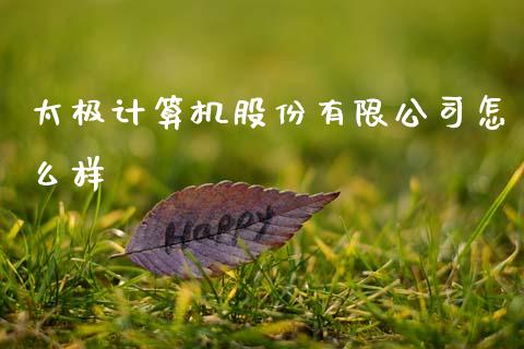 太极计算机股份有限公司怎么样_https://www.ltsssb.com_期货在线_第1张