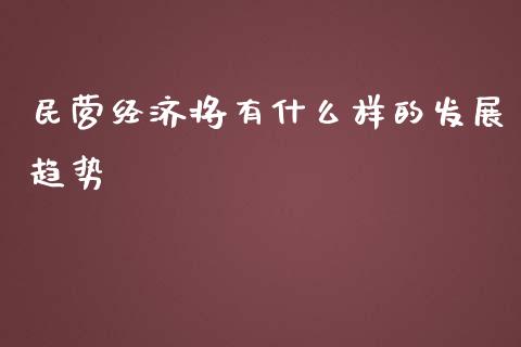 民营经济将有什么样的发展趋势_https://www.ltsssb.com_期货在线_第1张