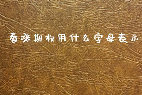 看涨期权用什么字母表示_https://www.ltsssb.com_基金频道_第1张