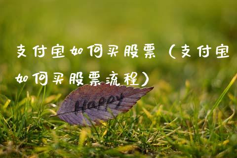 支付宝如何买股票（支付宝如何买股票流程）_https://www.ltsssb.com_股票理论_第1张