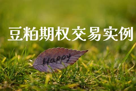 豆粕期权交易实例_https://www.ltsssb.com_期货行情_第1张