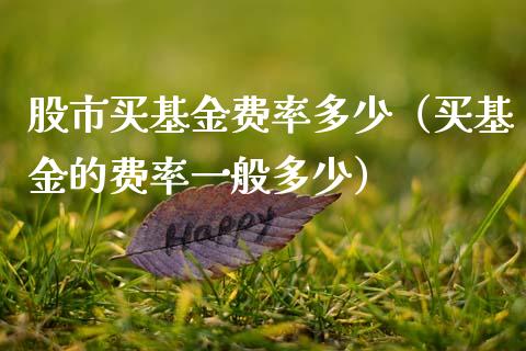 股市买基金费率多少（买基金的费率一般多少）_https://www.ltsssb.com_基金频道_第1张