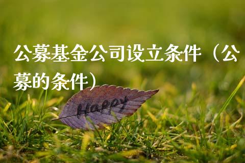 公募基金公司设立条件（公募的条件）_https://www.ltsssb.com_基金频道_第1张