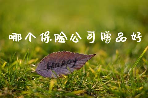 哪个保险公司赠品好_https://www.ltsssb.com_期货密码_第1张