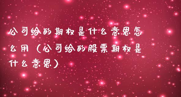 公司给的期权是什么意思怎么用（公司给的股票期权是什么意思）_https://www.ltsssb.com_期货密码_第1张