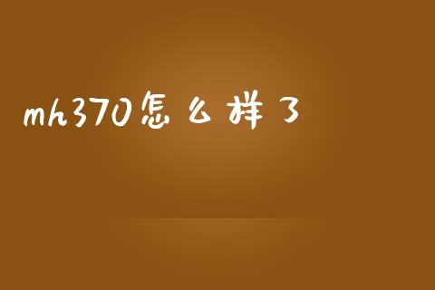 mh370怎么样了_https://www.ltsssb.com_国际财经_第1张