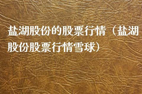 盐湖股份的股票行情（盐湖股份股票行情雪球）_https://www.ltsssb.com_股市分析_第1张