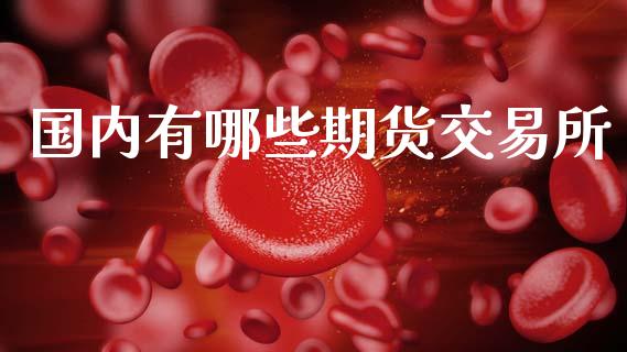 国内有哪些期货交易所_https://www.ltsssb.com_基金频道_第1张