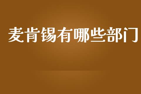 麦肯锡有哪些部门_https://www.ltsssb.com_基金频道_第1张