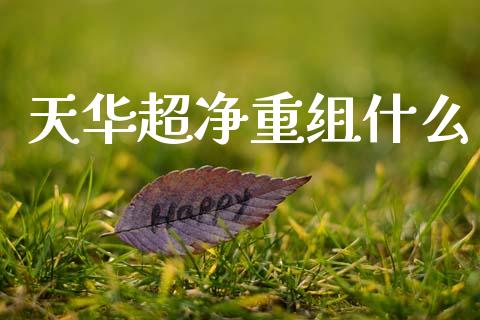 天华超净重组什么_https://www.ltsssb.com_国际财经_第1张