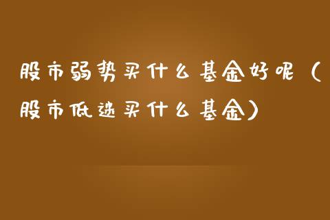 股市弱势买什么基金好呢（股市低迷买什么基金）_https://www.ltsssb.com_基金频道_第1张