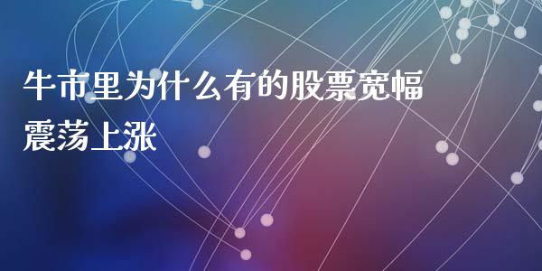 牛市里为什么有的股票宽幅震荡上涨_https://www.ltsssb.com_期货在线_第1张