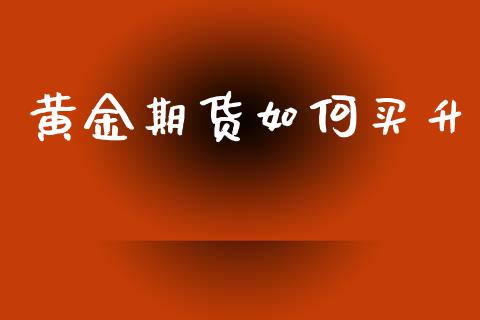 黄金期货如何买升_https://www.ltsssb.com_期货密码_第1张