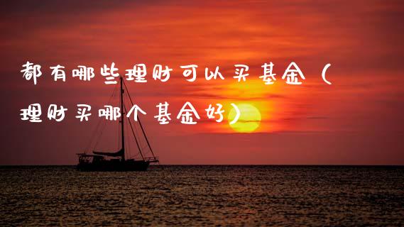 都有哪些理财可以买基金（理财买哪个基金好）_https://www.ltsssb.com_基金频道_第1张