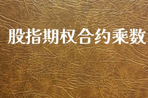 股指期权合约乘数_https://www.ltsssb.com_股票理论_第1张