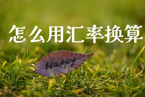 怎么用汇率换算_https://www.ltsssb.com_期货密码_第1张