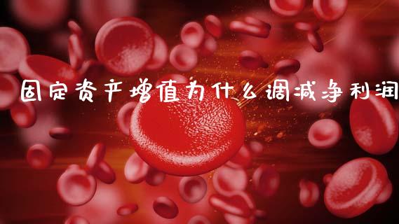 固定资产增值为什么调减净利润_https://www.ltsssb.com_国际财经_第1张