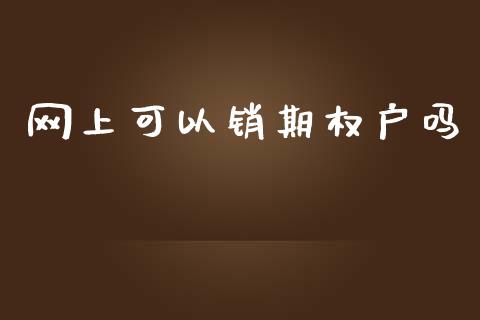 网上可以销期权户吗_https://www.ltsssb.com_期货在线_第1张
