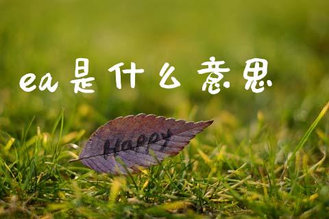 ea是什么意思_https://www.ltsssb.com_股票理论_第1张
