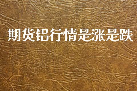 期货铝行情是涨是跌_https://www.ltsssb.com_期货行情_第1张