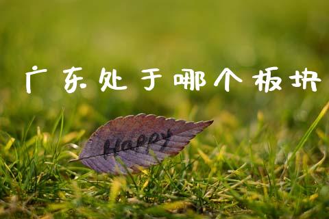 广东处于哪个板块_https://www.ltsssb.com_股市分析_第1张