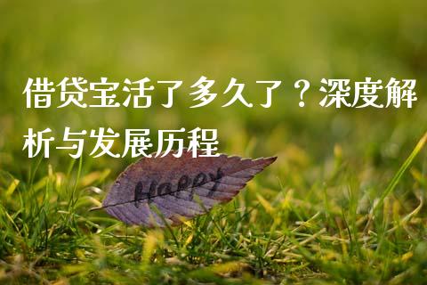 借贷宝活了多久了？深度解析与发展历程_https://www.ltsssb.com_新股数据_第1张
