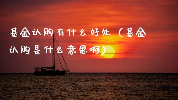 基金认购有什么好处（基金认购是什么意思啊）_https://www.ltsssb.com_国际财经_第1张