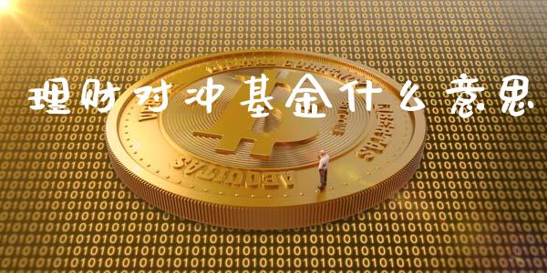 理财对冲基金什么意思_https://www.ltsssb.com_基金频道_第1张