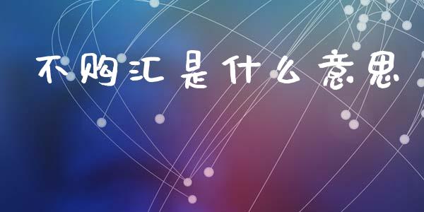 不购汇是什么意思_https://www.ltsssb.com_新股数据_第1张