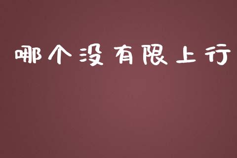 哪个没有限上行_https://www.ltsssb.com_股票理论_第1张
