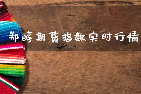 郑醇期货指数实时行情_https://www.ltsssb.com_期货行情_第1张