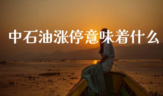 中石油涨停意味着什么_https://www.ltsssb.com_期货密码_第1张