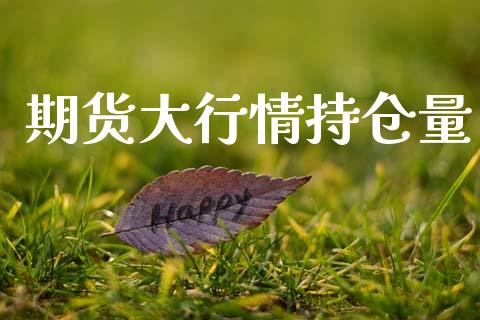 期货大行情持仓量_https://www.ltsssb.com_期货密码_第1张