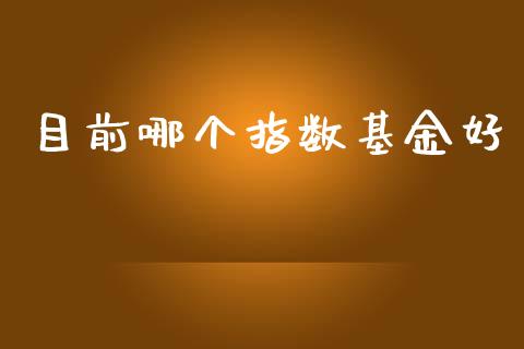 目前哪个指数基金好_https://www.ltsssb.com_国际财经_第1张
