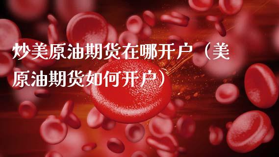 炒美原油期货在哪开户（美原油期货如何开户）_https://www.ltsssb.com_期货密码_第1张