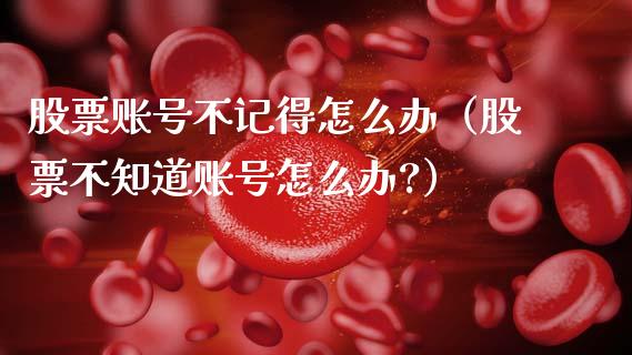 股票账号不记得怎么办（股票不知道账号怎么办?）_https://www.ltsssb.com_股市分析_第1张