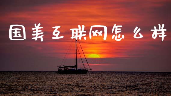 国美互联网怎么样_https://www.ltsssb.com_国际财经_第1张