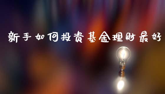 新手如何投资基金理财最好_https://www.ltsssb.com_基金频道_第1张